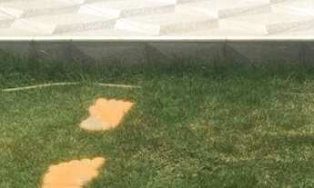 Imagem 4: CASA EM ITAMARACA