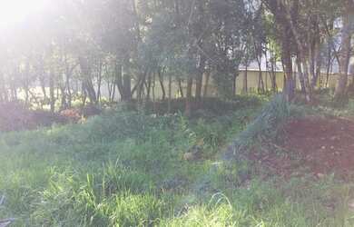 Imagem 5: Lote/Terreno para venda possui 360 metros quadrados em Marechal Floriano - Caxias do Sul