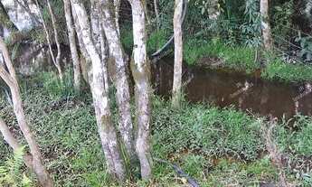 Imagem 5: Excelente Chácara