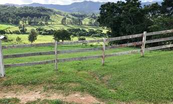 Imagem 7: FAZENDA EM LAGOINHA-SP COM 69 ALQUEIRES NA PECUARIA