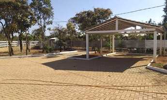 Imagem 7: Brazil Imobiliária Vende uma Linda Chácara na Ponte Alta do Gama