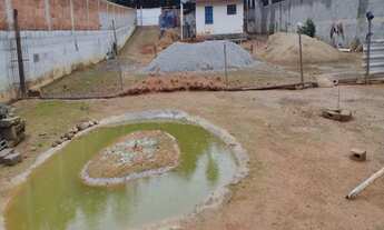 Imagem 3: Terreno 1.000m2 plano, murado, ideal para comercio ou residencial