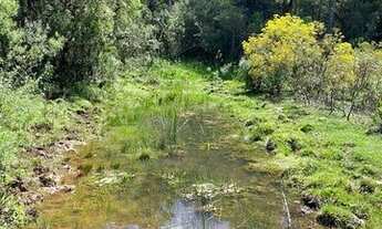 Imagem 3: Área Rural com 30,00ha de área total, para venda. Jararaca, Urubici (SC