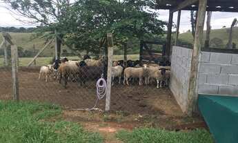 Imagem 4: Sítio Morungaba/SP/BR - Fortun