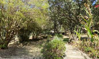 Imagem 4: CHÁCARA COM LINDO PAISAGISMO!