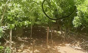 Imagem 5: Vende-se casa em Alto alegre/RR