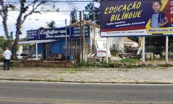 Imagem 3: Porto Alegre - Terreno Padrão - Ipanema