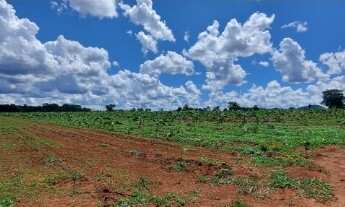 Imagem 6: Oportunidade! Vende-se uma excelente fazenda de 8 Alqueires