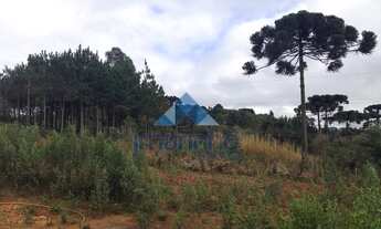 Imagem 6: ÁREA PARTE IDEAL 4.153M² - ITAQUI - CAMPO LARGO - PR