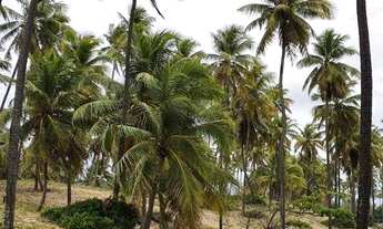 Imagem 7: Terreno à venda, 450 m² por R$ 375.000,00 - Imbassai - Mata de São João/BA