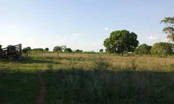 Imagem 6: Fazenda próximo à Santa Rita do tocantins