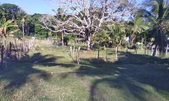 Imagem 3: Oportunidade terrenos em reserva Sapiranga em Praia do Forte