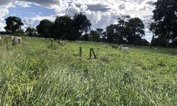 Imagem: Fazenda à venda, 12777600 m² por R$ 58.080.000,00