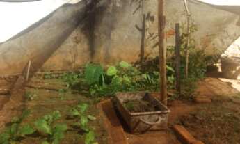 Imagem 7: TERRENO COMERCIAL em Belo Horizonte - MG, Jardim Guanabara