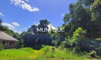 Imagem 5: Ivoti - Terreno Padrão - Harmonia