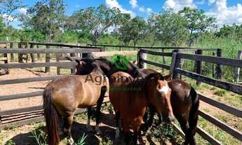 Imagem: Fazenda em Peixe -TO