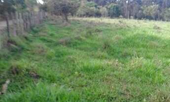 Imagem 6: Terreno 10 Hectares em Passa Tempo Fartura de Agua