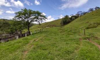 Imagem: Área de 9,75 Alqueires ao lado da Rod