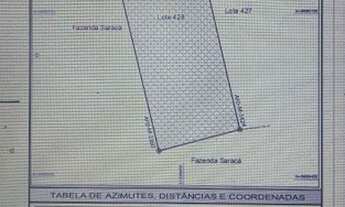 Imagem: Terrenos na estrada AM 363 Silves/Itapiranga