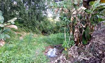 Imagem 7: Sítio 6 alqueires ( Willian Ricardo