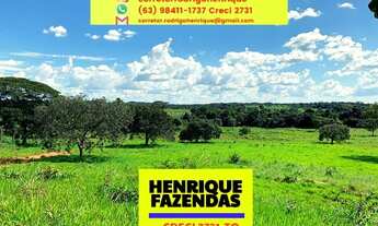 Imagem 5: Fazenda 573,54 hectares Vale do Araguaia