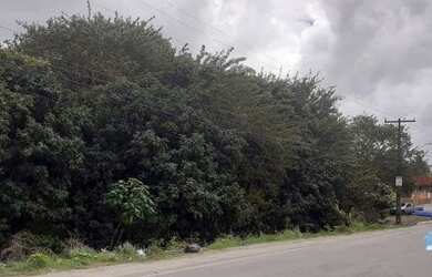 Imagem 5: Área com 6.000 m² às margens da Rodovia PE 35 (Área Comercial) em Igarassu - PE