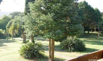 Imagem 2: Porto Alegre - Sítio - Vila Nova