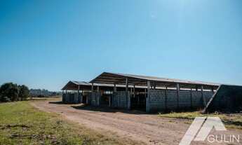 Imagem 5: Fazenda para Venda em Tijucas do Sul