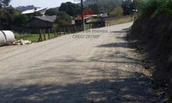 Imagem 3: Florianópolis - Terreno Padrão - Ratones