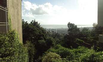 Imagem 7: Porto Alegre - Terreno Padrão - Teresópolis