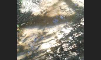 Imagem 4: Fazenda/Sítio/Chácara para venda possui 5000 metros quadrados com 1 quarto