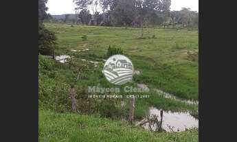 Imagem 6: Ariquemes - Sítio - 10 Alqueires a