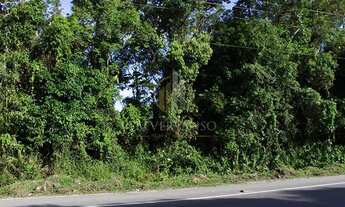 Imagem 3: Terreno em Balneário Eliana - Guaratuba, PR