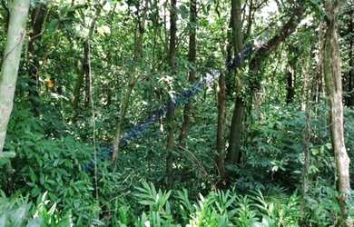 Imagem 6: Venda - Chácara - Vila Pinheiro - Mogi Guaçu - SP