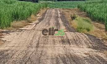 Imagem 3: Fazenda Dupla Aptidão - em CANA ARRENDADA, 154 Alqueires, à venda por R$ 25.020.000,00 - n