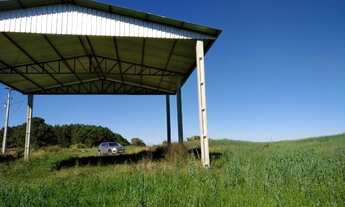 Imagem 7: Lapa - 50 Alqueires - Plantando 18 alqueires