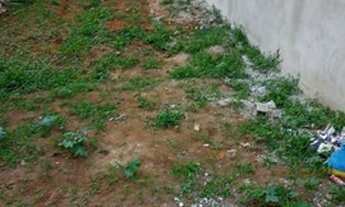 Imagem 5: Terreno no parque São Rafael documentado tudo ok