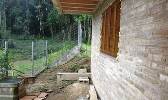 Imagem 5: GARIBALDI - Chácara - Linha Araripe