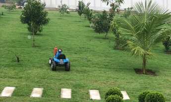 Imagem 6: Linda chácara 22.500 m2 Município de Abadiânia