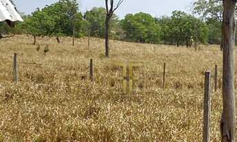Imagem 6: Fazenda 228 Alqueires, Figueirópolis, TO