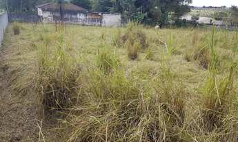 Imagem: Terreno no bairro Ipelândia