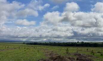 Imagem 5: Fazenda 140 alqueires em Paraúna - GO