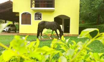 Imagem 4: MARAVILHOSA CHÁCARA EM SIMÃO PEREIRA