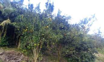 Imagem 5: CHÁCARA no BRAÇO DO RIBEIRÃO CAVALO com 3 quartos para VENDA, 200 m²