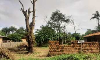 Imagem 6: Vendo esse terreno no ramal touro bravo