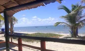 Imagem 6: Caiçara de praia