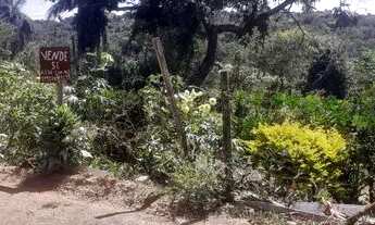 Imagem 2: Vendo lote 500 metros