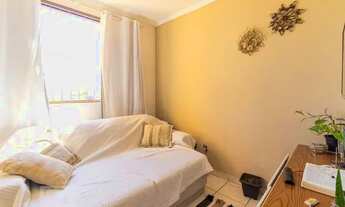 Imagem 2: Apartamento para Aluguel - Jardim Maria Rita, 2 Quartos, 50 m2