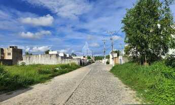 Imagem 3: Lote nascente 160m2 em rua calçada, a 5 minutos do Francês