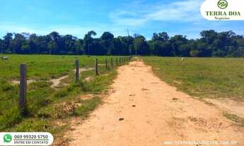 Imagem 7: FAZENDA 140 ALQUEIRES 80 ALQUEIRES EM PASTO
